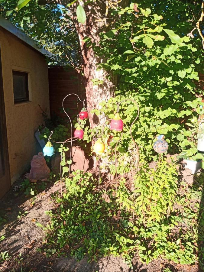 Appartamento Linas Toepferhof Weißenfels Esterno foto