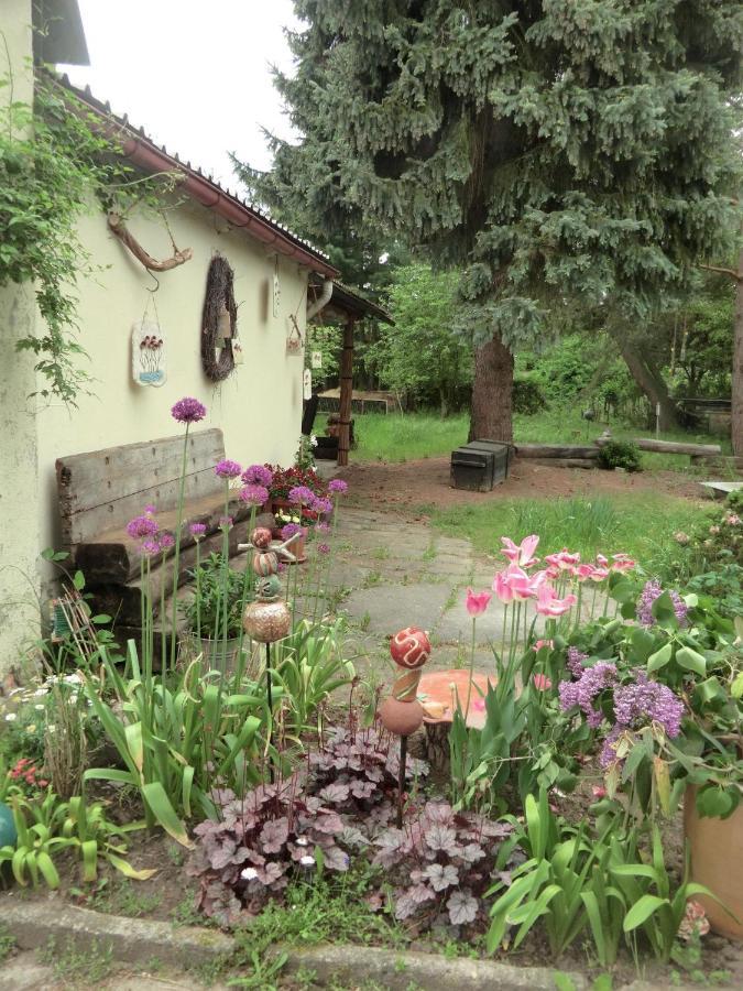 Appartamento Linas Toepferhof Weißenfels Esterno foto